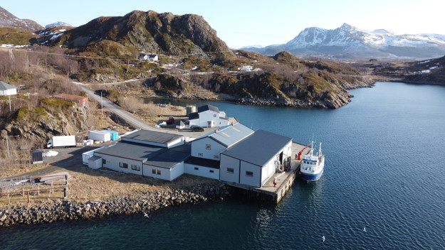 Pakkestasjon i Skårvågen