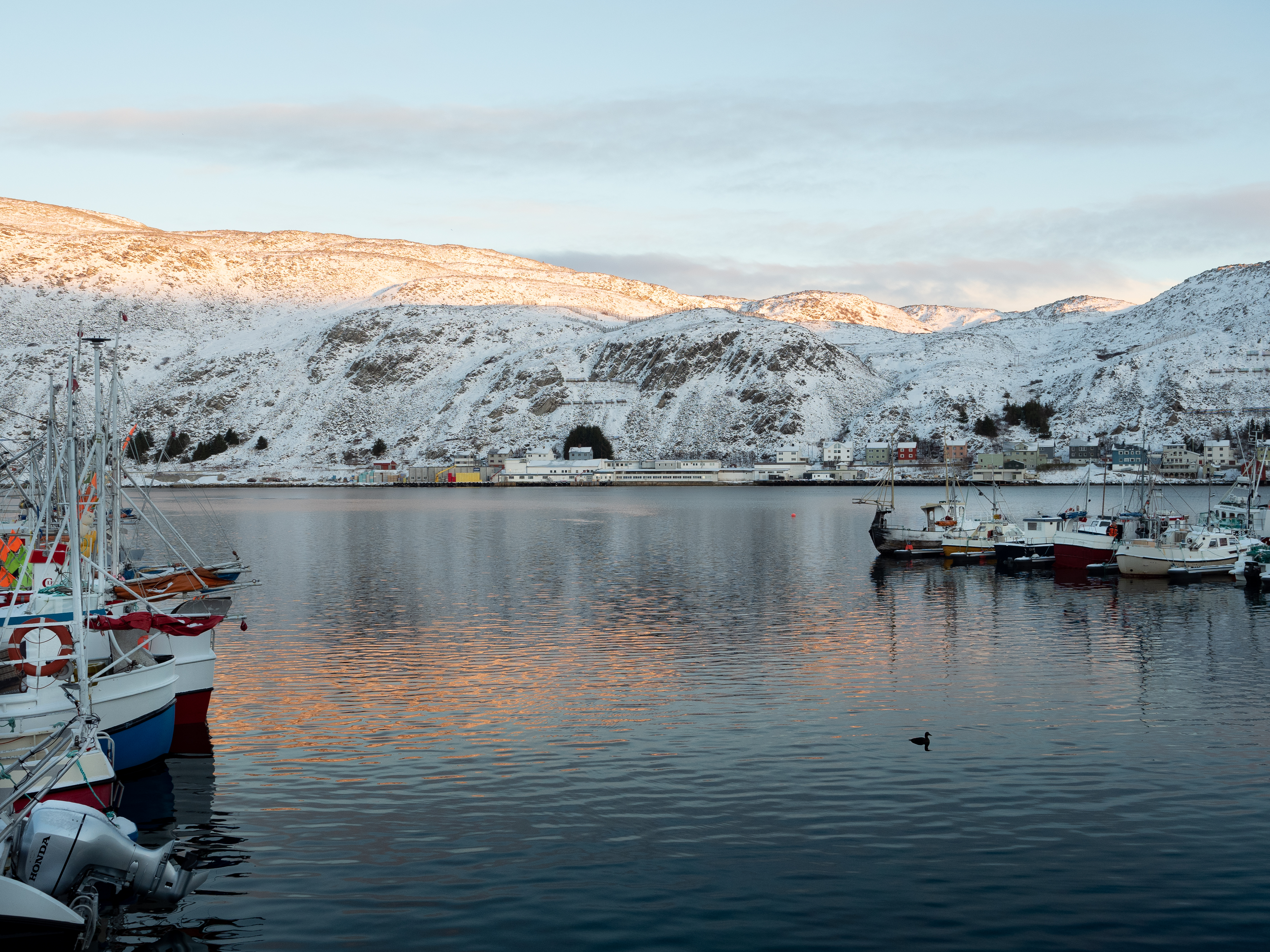 Kjøllefjord med fabrikken til Lerøy Norway Seafoods ved vannet